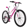 Fahrrad 26 Landkreis MTB Damen