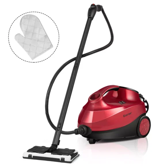 Dampfreiniger